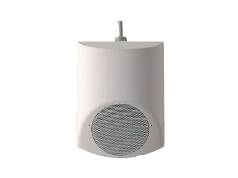 Moulded Cabinet Wall Mounted Speakers