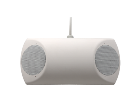 Moulded Cabinet Wall Mounted Speakers