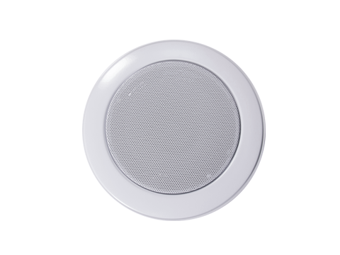 Vandalism Resistant Wall Mounted Speakers