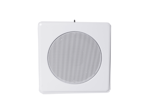 Vandalism Resistant Wall Mounted Speakers