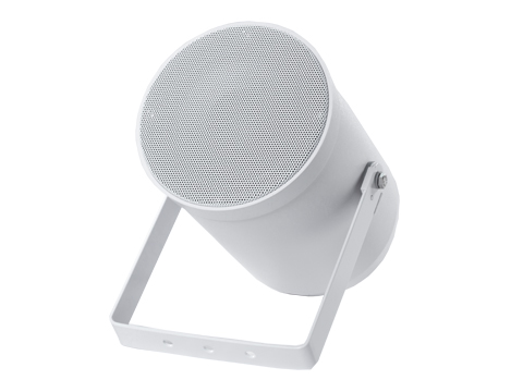 Sound Projector Loudspeakers